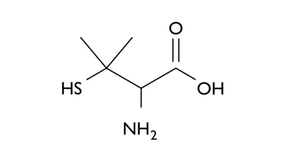 Molecola Penicillamina Formula Chimica Strutturale Modello Palla Bastone Antidoti Immagine — Foto Stock