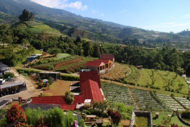 Silancur Highland 'da, Sumbing Dağı' nın yamaçlarında, Magelang, Endonezya.
