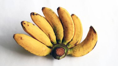 Raja bulu muzu. Aslen Endonezyalı. Doğrudan yenebilir ya da pişirilebilir..