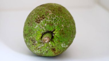 Beyaz arka plan üzerinde ekmekağacı meyvesi veya Artocarpus altilis.