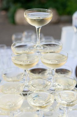 Glasses of champagne on the festive table. frock appetizers. serving for the wedding ceremon