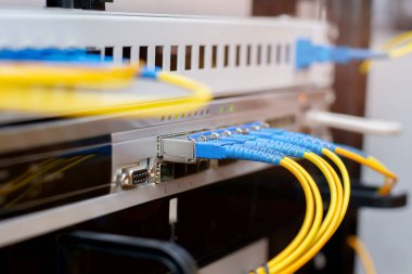 Sunucu bilgisayarı. İnternet fiber internet bağlantı sunucu rafı dolabı. Kripto para kripto bitcoin madenciliği. Sistem onu teknolojiyle yönetiyor. Sabit disk ram pc merkezi işlemci. Teknisyen tamir bilgisayarı. depo veritabanı. Hackerlara saldırı virüsü
