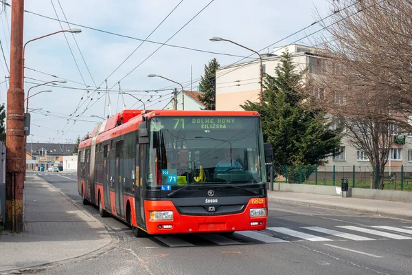 Bratislava Slovakia March 2022 Тролейбус Скода 31Tr Sor 6826 Їде — стокове фото