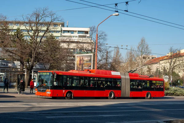 Bratislava Eslováquia Março 2022 Trolleybus Skoda 31Tr Sor 6804 Equitação — Fotografia de Stock