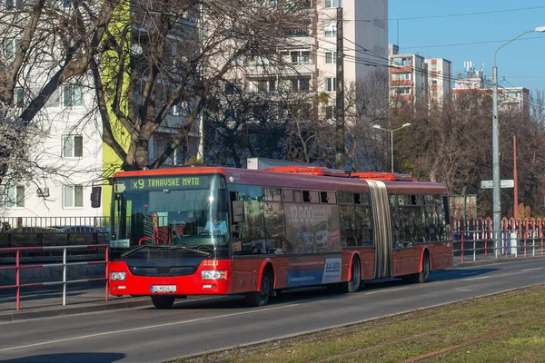 Bratislava Slovakia March 2022 Автобус Sor City 2221 Їхав Пасажирами — стокове фото