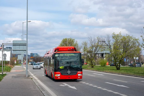 BRATISLAVA, SLOVAKIA - April 03, 2022. Trolleybus Skoda 30TrDG SOR #6102 riding with passengers in the streets of Bratislava.