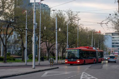 BRATISLAVA, SLOVAKIA - 14 Nisan 2022. Trolleybus Skoda 31TR SOR # 6804 Bratislava sokaklarında yolcularla birlikte.