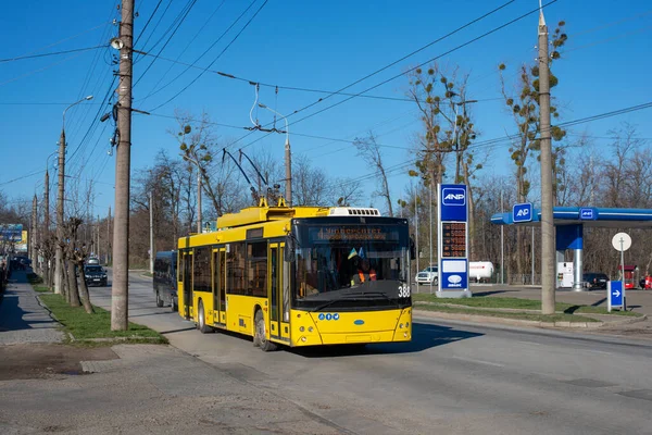 Чернивци Украина Марта 2023 Года Троллейбус Днепр T203 Маз 388 Лицензионные Стоковые Изображения