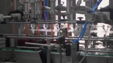 Cam kavanozları konvoyun üzerinde hareket eden fabrika üretim hattı. Yüksek kalite 4k görüntü