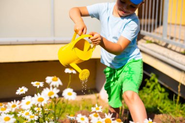 Parlak renkli elbiseli şirin bir çocuk güneşli bir bahçede papatya çiçekleri suluyor.