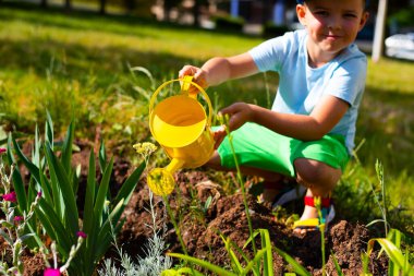 Parlak renkli elbiseli şirin bir çocuk, güneşli bir bahçedeki sarı sulama tenekesinden çiçek ve bitkileri suluyor.