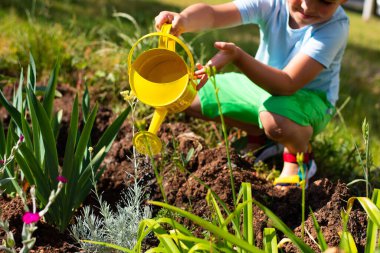 Parlak renkli elbiseli şirin bir çocuk, güneşli bir bahçedeki sarı sulama tenekesinden çiçek ve bitkileri suluyor.