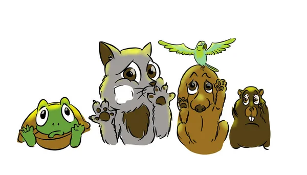 sad pets. Different funny and plaintive animals with sad eyes. Turtle, cat, dog, parrot and hamster.