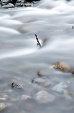 Yüzeyin üzerinden gelen ahşap bir sopa ve bulutlu bir öğleden sonra Mindo Ekvador 'u geçen bir nehirde akan suya daldırılmış. Uzun pozlu fotoğrafçılık.