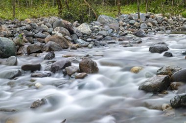 Ekvador 'un Pichincha Eyaleti' nin Mindo kasabasını geçen bir nehrin bulutlu ve bulutlu bir öğleninde uzun bir kesimine maruz kaldık..