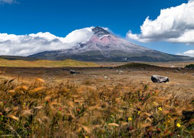 Cotopaxi Ulusal Parkı 'nda, arka planda Cotopaxi yanardağı olan Ekvador' da şiddetli rüzgarların yol açtığı ince bir hareket. ND filtreleri bulut ve saman hareketlerini yakalamak için kullanıldı.