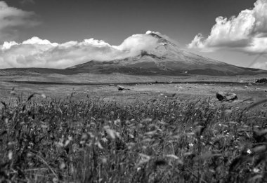 Cotopaxi volkanı, tarlalar ve çayırlar, kayalar ve hareket eden samanlar, hepsi Ekvador 'daki Cotopaxi Ulusal Parkı' ndaki muhteşem bir sahnenin parçası. Siyah ve Beyaz fotoğrafçılık. Hareket için kullanılan ND filtreleri.