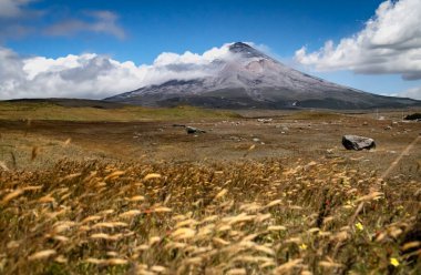 Cotopaxi Ulusal Parkı 'nda, arka planda Cotopaxi yanardağı olan Ekvador' da şiddetli rüzgarların yol açtığı ince bir hareket. ND filtreleri bulut ve saman hareketlerini yakalamak için kullanıldı.