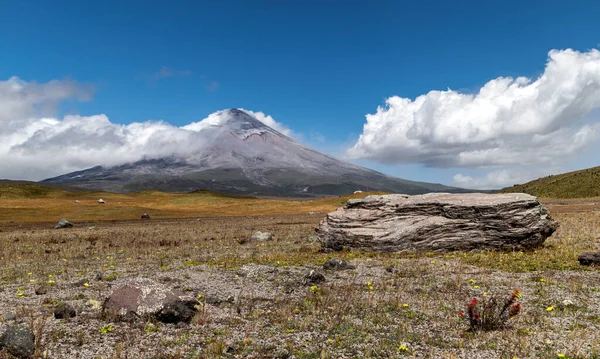 Miljoonia Vuosia Sitten Cotopaxin Tulivuoresta Heitetyt Vanhat Suuret Vulkaaniset Kivet — kuvapankkivalokuva