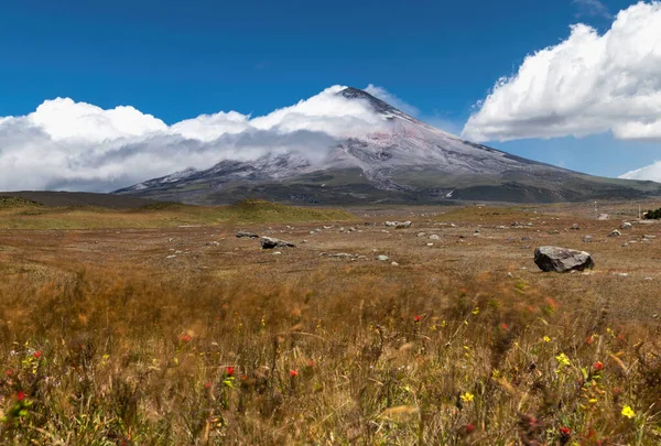 強い風によって引き起こされる動きの薄いわらは 背景にコトパキスタン火山 エクアドルで コトパキスタン国立公園で Ndフィルターは雲やわらの動きを捉えるために使われました — ストック写真