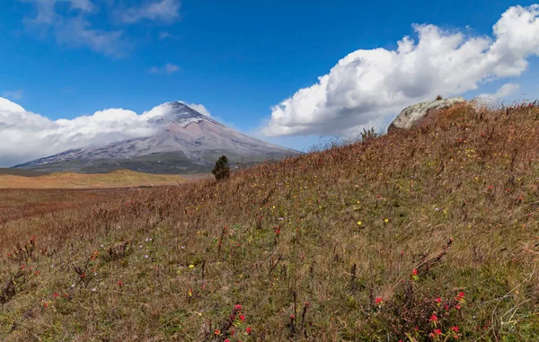 stock image Cotopaxi volcano which has been throwing out ash, has one of its cone sides completely covered in it. Photos taken with ND filters to capture the moving clouds. National Park, Ecuador.