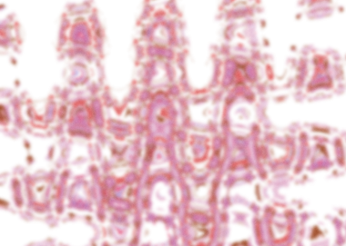 Soyut, şeffaf, yanardöner renk bulanık tasarım ögesi.