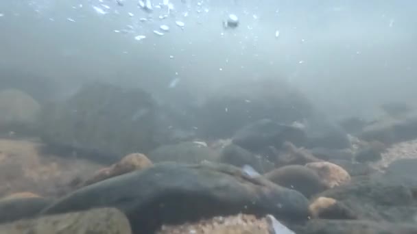 泡が浮かんでいる水中の速い流れ — ストック動画