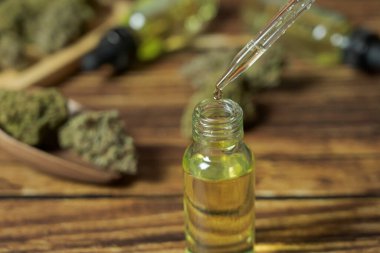 CBD kenevir yağı, elinde bir damla kenevir yağı.