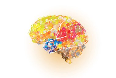 Parlak renkli parçacıklarla dolu insan beyninin ana hatları tam beyin fonksiyonlarını, akıl sağlığını ve mutluluğu sembolize eder..