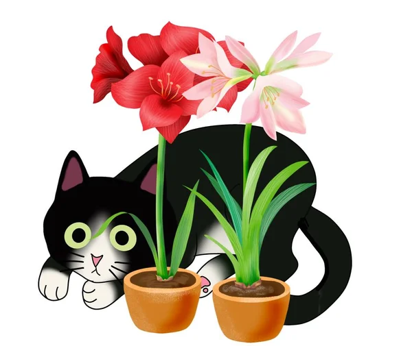 Černá Kreslená Kočka Květinách — Stock fotografie