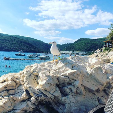 Sarı yaz çiçekleri, desen 