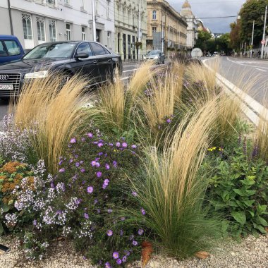 Yazın Hırvatistan 'da işgücü. Antik mimari