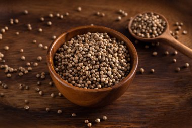 Pişmemiş kişniş tohumu kasesi. Stüdyo çekimi arka planda izole edildi. Kişniş tohumları koyu arkaplana yayılmış. 45 derece ateş.