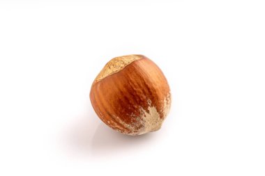 Kabuklu fındıklı. Stüdyo çekimi beyaz arkaplanda izole edildi.