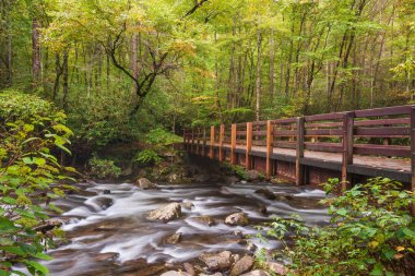 Pigeon Forge 'daki Küçük Güvercin Nehri üzerindeki Walkway Köprüsü, Great Smoky Dağları Ulusal Parkı, Tennessee, ABD