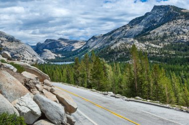 Yosemite Ulusal Parkı 'ndaki Tioga Geçidi yolu, Kaliforniya, ABD