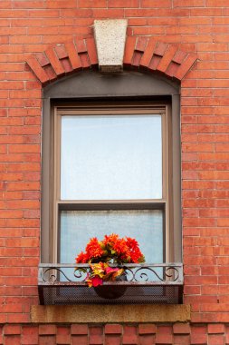 Boston, Massachusetts 'teki güz çiçekleri ile süslenmiş zengin Beacon Hill mahallesindeki tipik tuğla çok katlı binanın tipik penceresi.