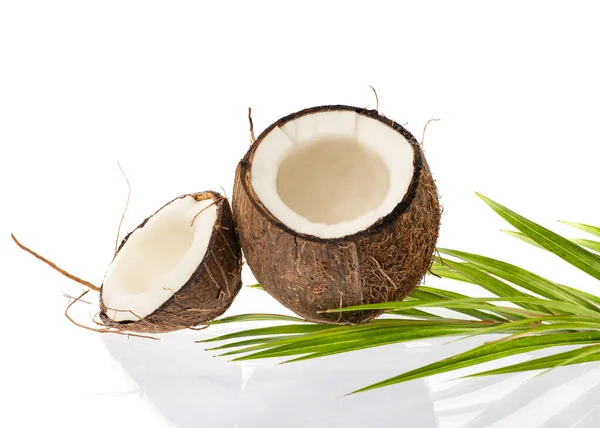 A wedge of coconut. Pieces of coconut isolated on white background. Coconut with leaves. Shot close up