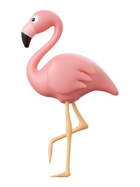 Flamingo, yaz konseptinin 3D çizimi