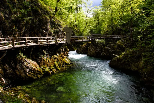 Vintgar Gorge Bled Gorge는 슬로베니아 북서부의 6Km 길이의 협곡입니다 보호구역 — 스톡 사진