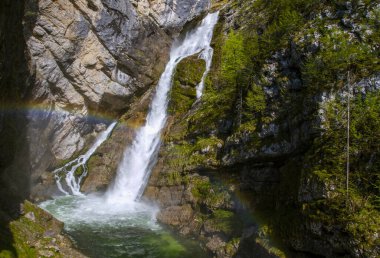 Slovenya: Savica Şelalesi. Savica Şelalesi Slovenya 'nın Triglav Ulusal Parkı' nda yer alıyor. Farklı kaynaklardan gelen iki akarsu şeklinde bir şelale. Birinin yüksekliği 78 metre, diğerinin ise 25 metre. Avrupa 'da turizm.