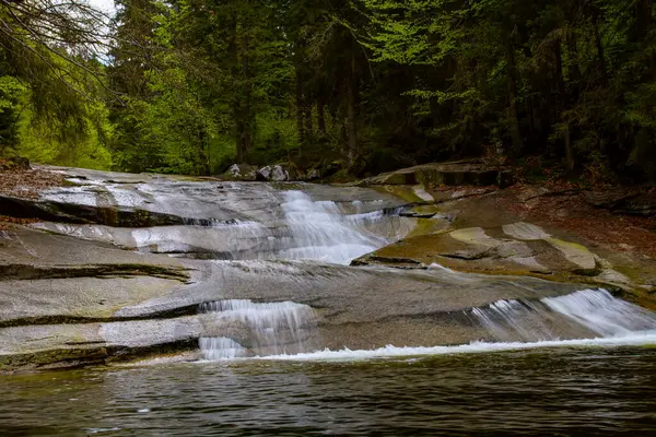 Vahşi dağ nehri Mumlava, kayalık akıntıların arasından akar. Mumlava Şelalesi, Çek Cumhuriyeti 'nin Harrachov yakınlarındaki Mumlava Vadisi' nde yer almaktadır. Krkonoe Dağları 'ndaki dağlık bölgede. Turizm konsepti.