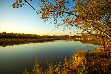 Romanya 'da Siret Nehri Boyunca Güzel Sonbahar Renkleri