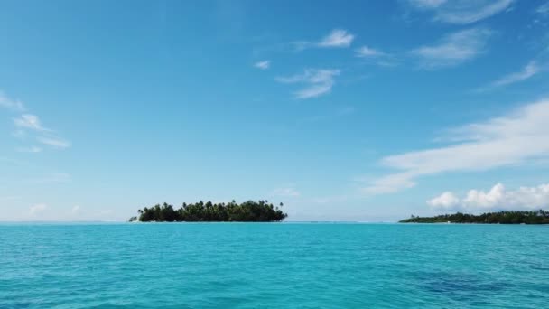 Tatil Adası Cenneti Tropik Plaj Ikonu Palmiye Ağaçlı Özel Ada — Stok video
