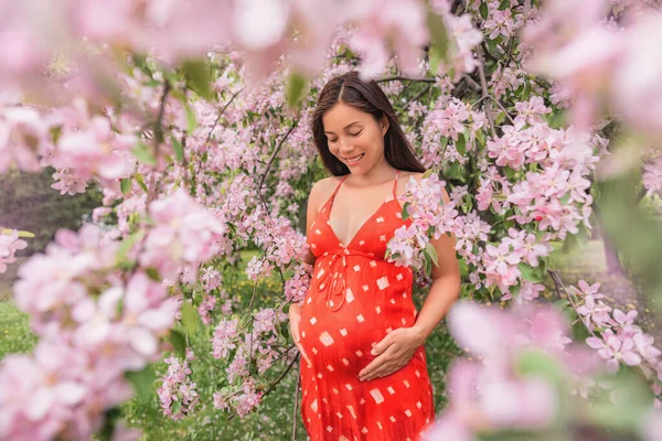 Zwangere Vrouw Gelukkig Portret Met Lentebloemen Nieuw Seizoen Nieuw Levensconcept — Stockfoto