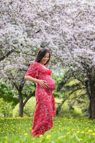 Hamilelik Baharda Hamile Kadın Portresi Yeni Sezon Yeni Hayat Konsepti — Stok fotoğraf