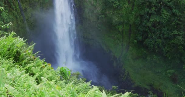 Hawaii Akaka Falls Hawaii Wasserfall Auf Big Island Hawaii Usa — Stockvideo