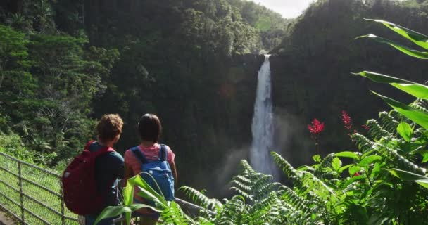 Havaj Cestujte Big Islandu Akaka Falls Turisté Havajském Vodopádu Mladý — Stock video