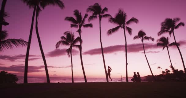 Отдых Пляже Фоне Заката Женщиной Людьми Наслаждающимися Прекрасным Розовым Цветом — стоковое видео