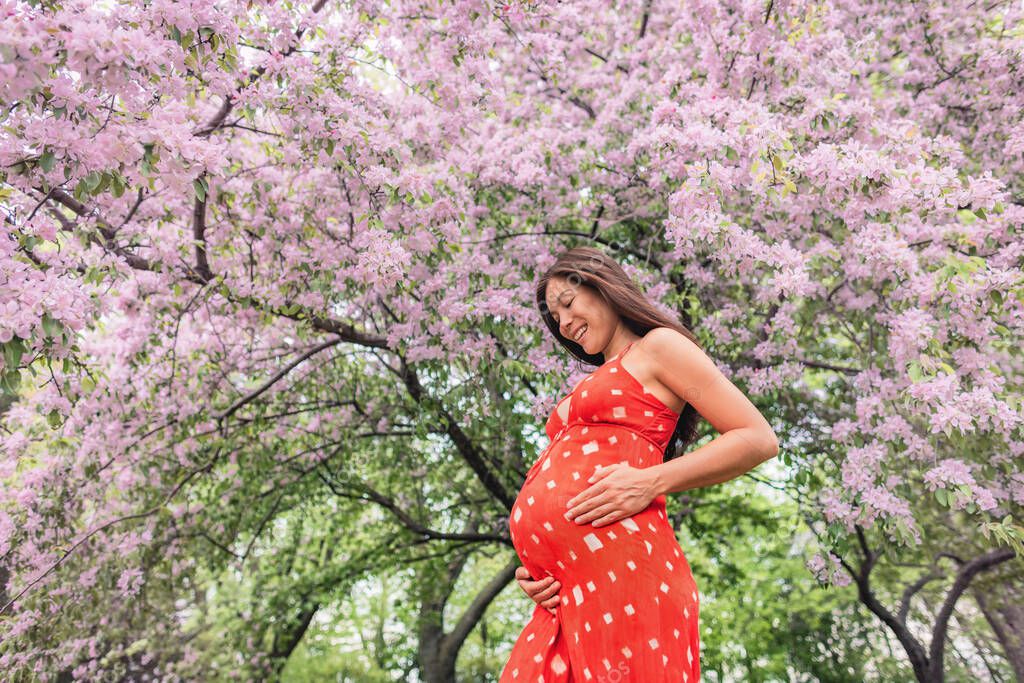 Pregnant woman portrait in cherry blossom trees pink spring flowers. New season and new life
